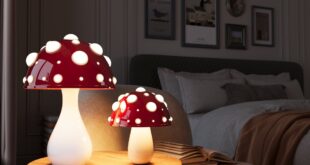 Best Lampshades For Your Room