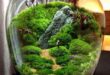 Bonsai Terrarium Miniature Landscaping