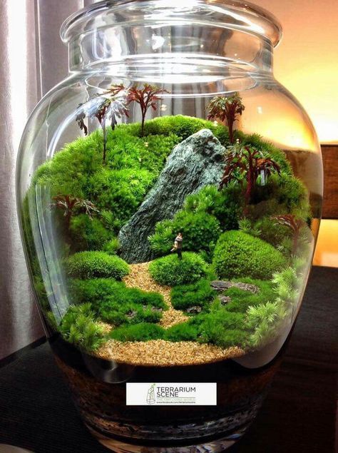 Bonsai Terrarium Miniature Landscaping Creating Stunning Miniature Landscapes with Bonsai in Glass Containers