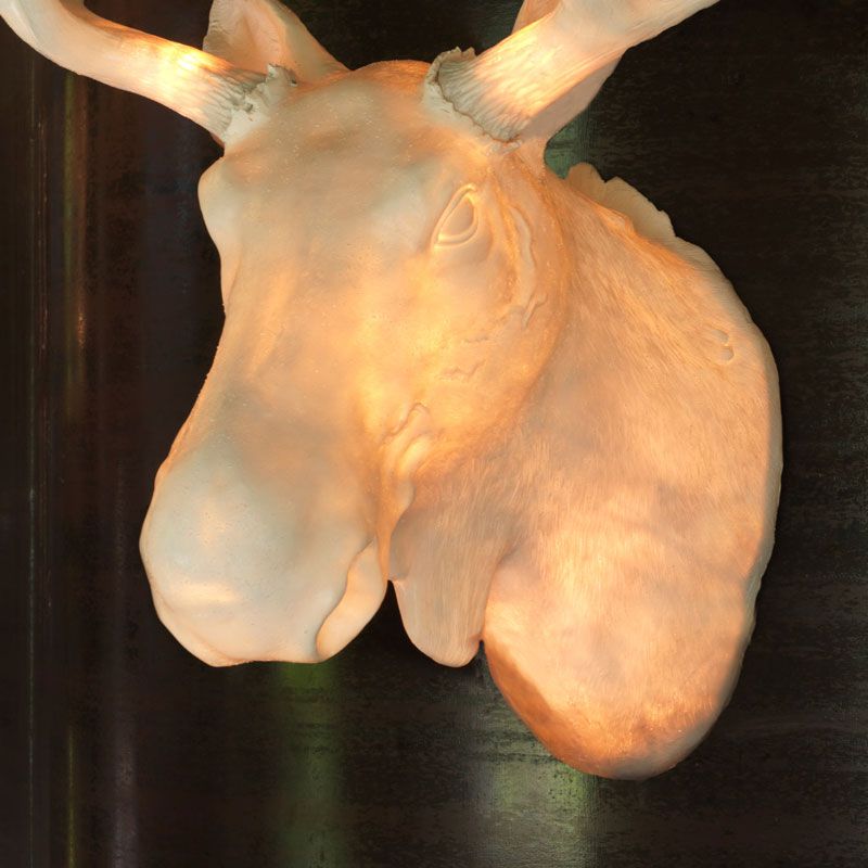 Add Moose Lighting Brighten Up Your Space with Creative Lighting Options