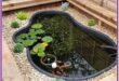 Backyard Fish Pond Garde