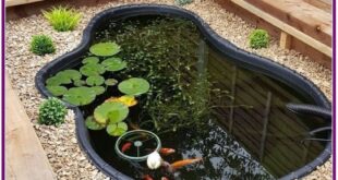 Backyard Fish Pond Garde