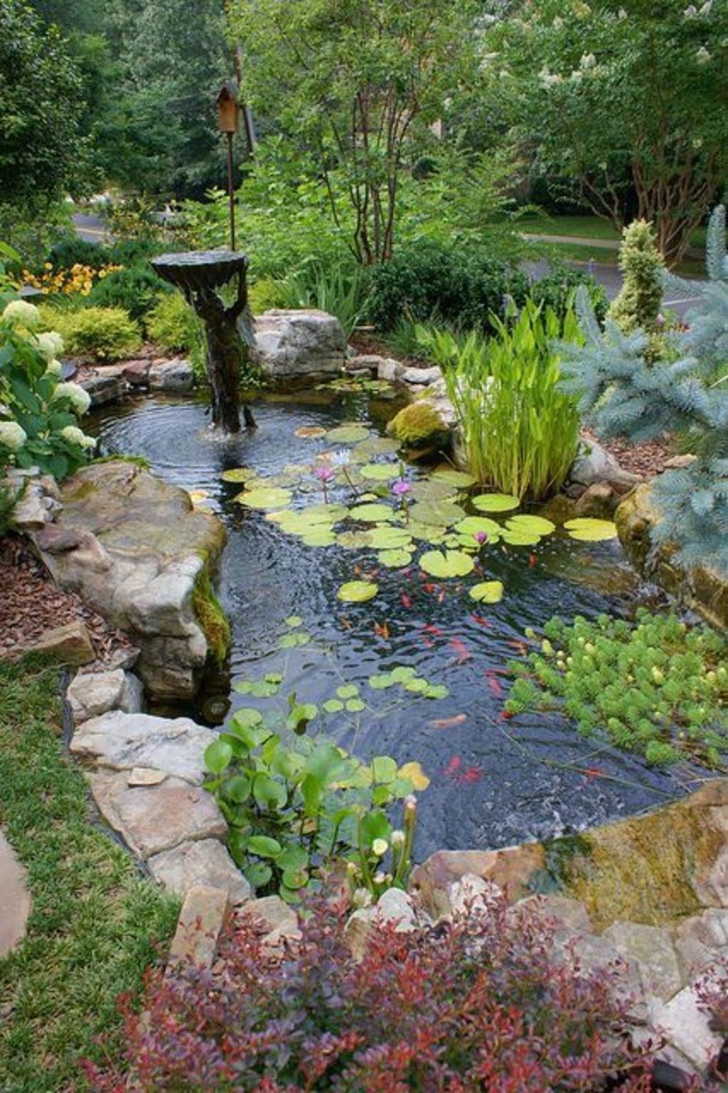 Backyard Fish Pond Garde : Creating a Beautiful Backyard Fish Pond Garden for Relaxation and Enjoyment