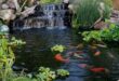 Backyard Fish Pond Garden