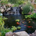 Backyard Fish Pond Garden