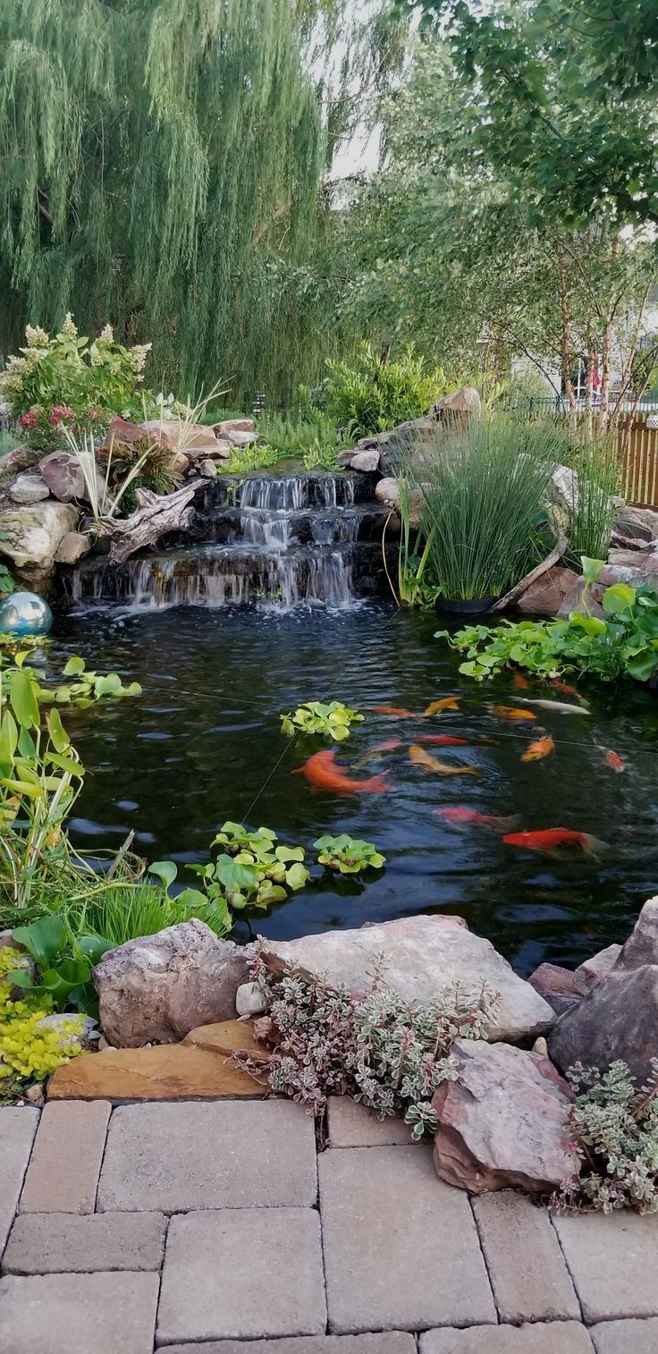 Backyard Fish Pond Garden Create Your Own Personal Aquatic Oasis with a Beautiful Fish Pond in Your Yard