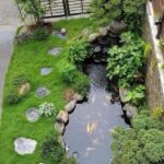 Backyard Fish Pond Garden