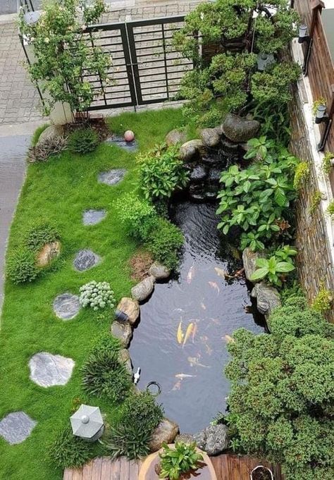Backyard Fish Pond Garden : Creating a Tranquil Backyard Fish Pond Garden with Native Plants and Wildlife