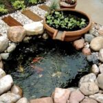 Backyard Fish Pond Garden