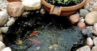 Backyard Fish Pond Garden