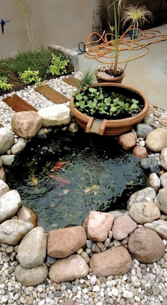 Backyard Fish Pond Garden