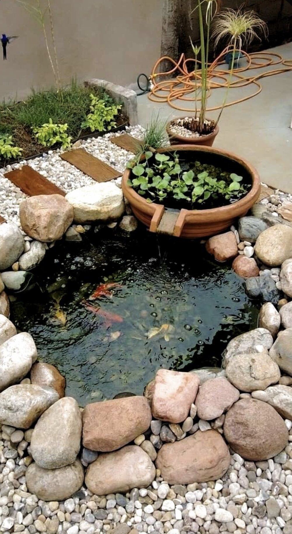 Backyard Fish Pond Garden Transform Your Outdoor Space with a Serene Fish Pond Sanctuary