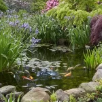 Backyard Fish Pond Garden