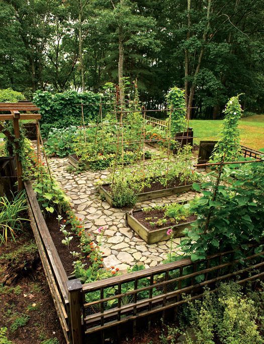 Backyard Garden Transforming Outdoor Space into a Lush and Green Oasis