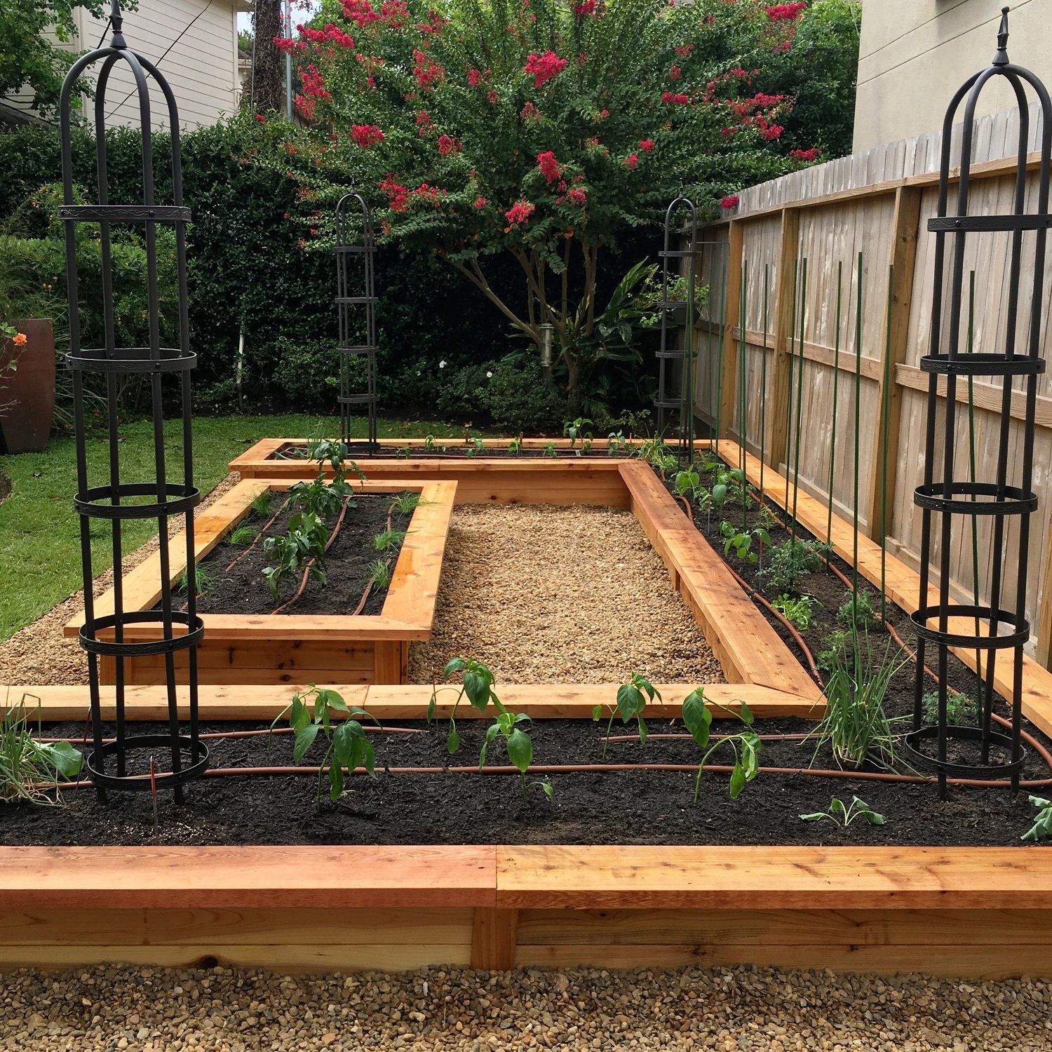 Backyard Garden Transforming Outdoor Spaces into Lush Green Havens