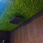 Bathroom Ceiling