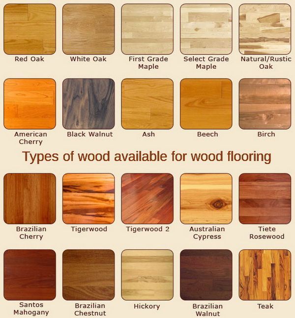 Beech Wood Benefits of this Durable and Beautiful Wood Variety for Furniture Making