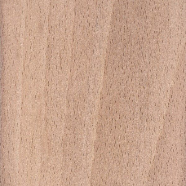 Beech Wood The Versatile Timber Known for Its Strength and Durability