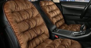 Best Car Cushions