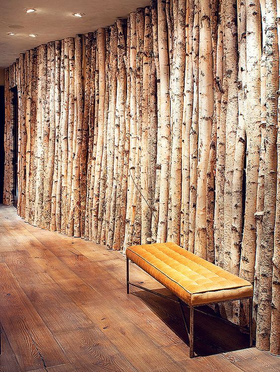 Birch Wood The Benefits and Uses of Birch in Furniture and Decor