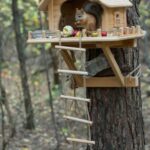 Bird House For Your Backyard Space