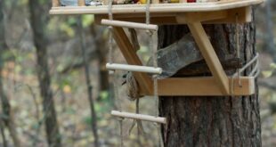 Bird House For Your Backyard Space