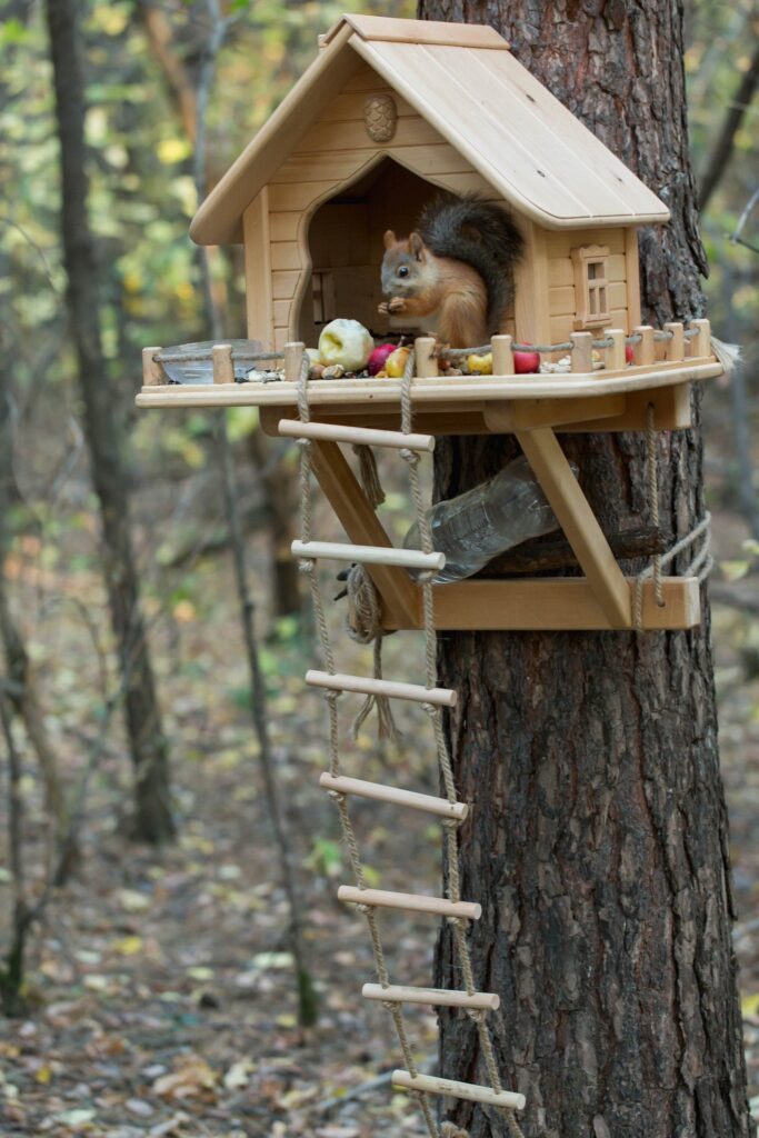Bird House For Your Backyard Space