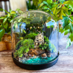 Bonsai Terrarium Jars