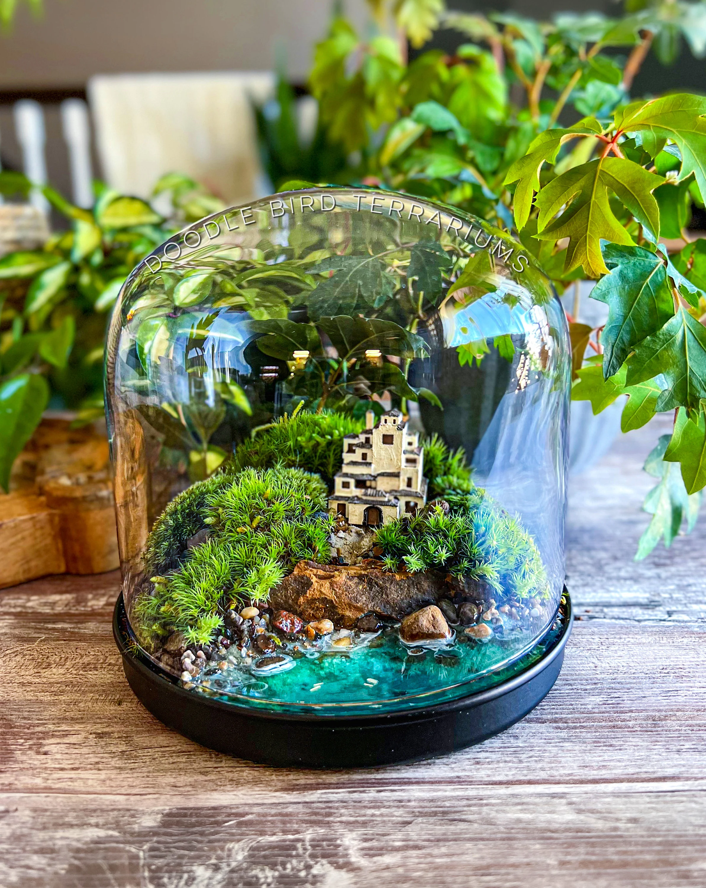 Bonsai Terrarium Jars Creating Stunning Small Garden Landscapes