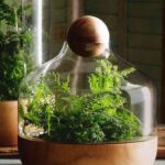 Bonsai Terrarium Jars