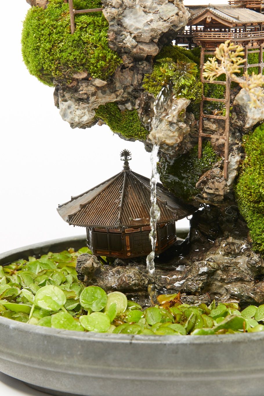 Bonsai Terrarium Miniature Landscaping : Breathtaking Bonsai Terrarium Miniature Landscaping Masterpieces
