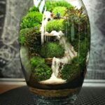 Bonsai Terrarium Miniature Landscaping