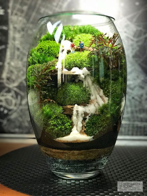 Bonsai Terrarium Miniature Landscaping Create Stunning Miniature Landscapes with Bonsai Terrariums