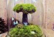 Bonsai Terrarium Miniature Landscaping