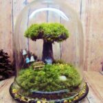 Bonsai Terrarium Miniature Landscaping