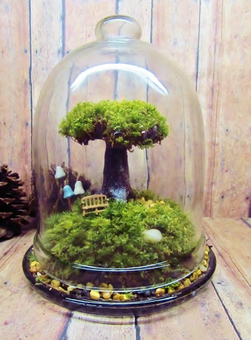 Bonsai Terrarium Miniature Landscaping Creating Stunning Miniature Landscapes with Bonsai in Terrariums