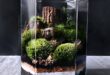 Bonsai Terrarium Miniature Landscaping