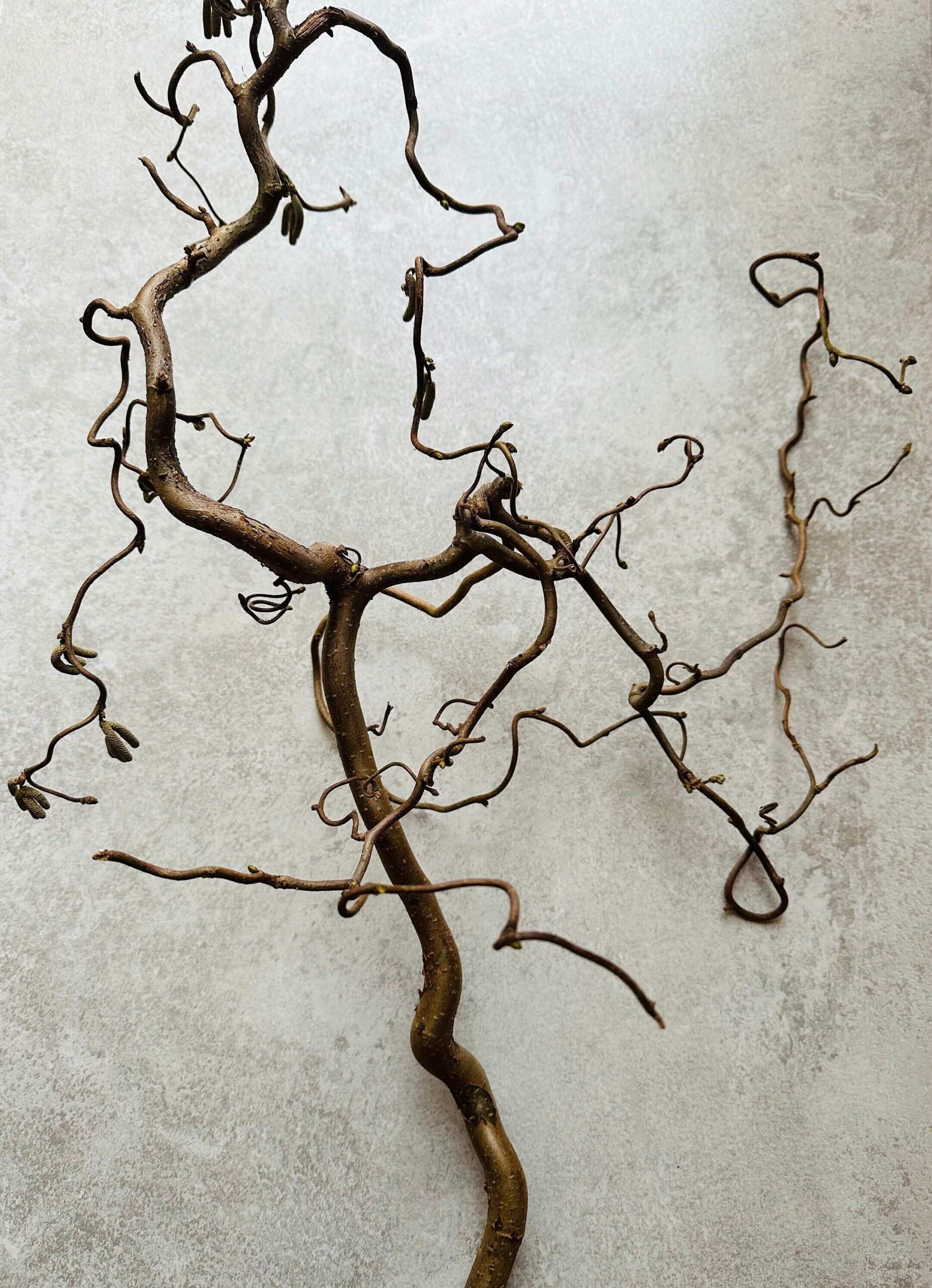 Branches Dried Tree Décor Unique Ways to Use Dried Tree Branches for Home Decor