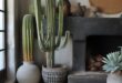 Cactus Decor For Your Home