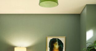 Ceiling Lamp Lighting