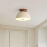 Ceiling Lamp Lighting