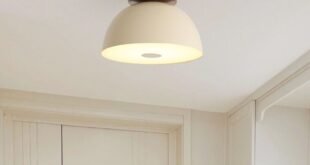 Ceiling Lamp Lighting