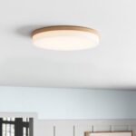 Ceiling Light Fixtures