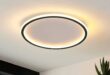 Ceiling-Mounted Lamp