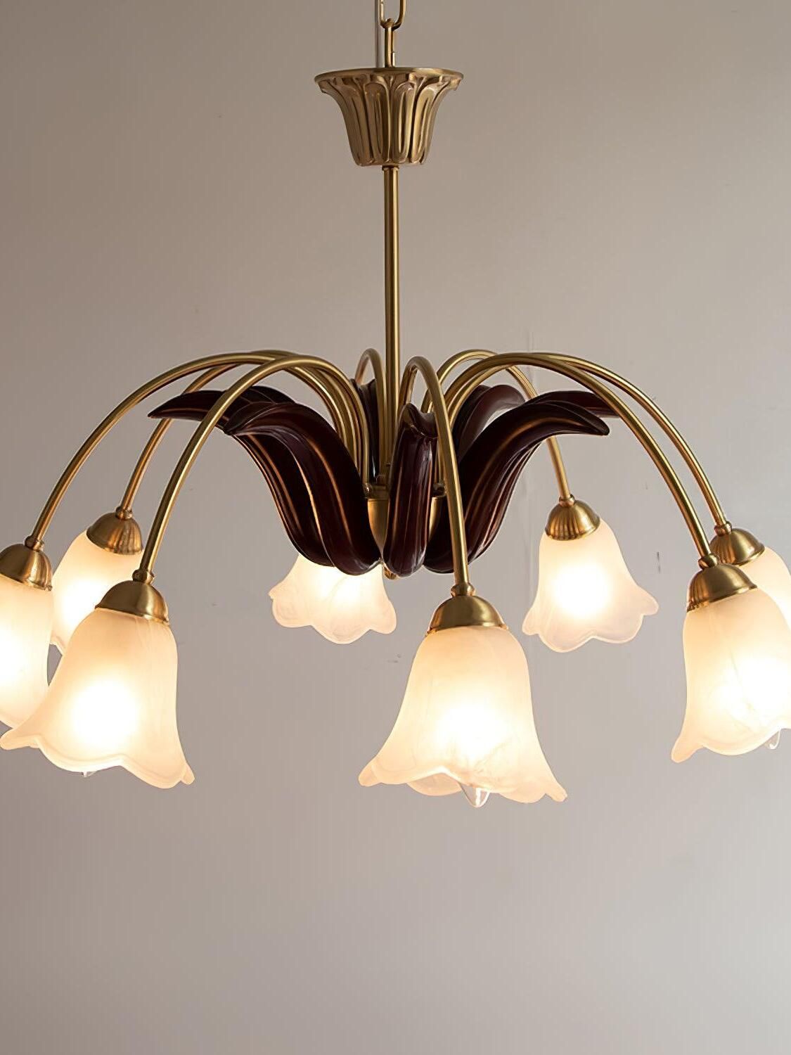 Choice Of Chandeliers Best Chandelier Options for Elegant Lighting in Any Room