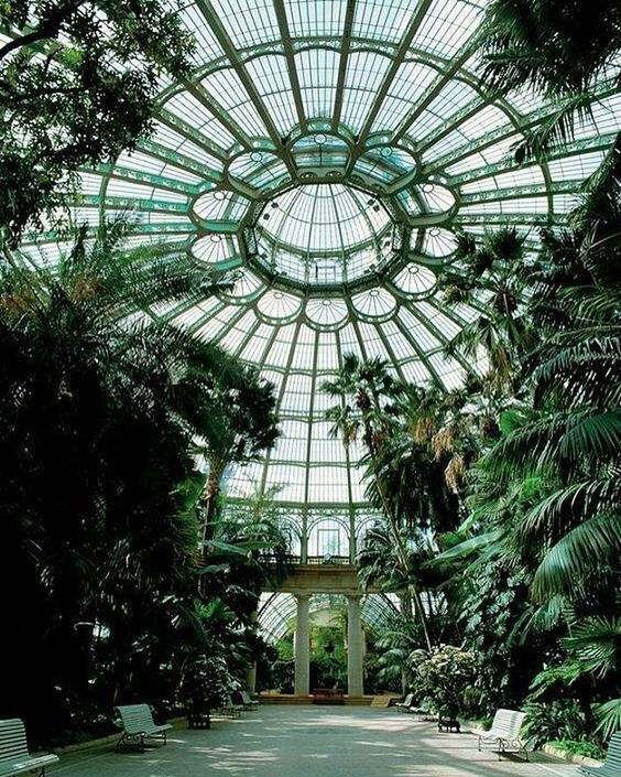 Conservatory Exploring the Beauty of Indoor Gardens and Plant Sanctuaries