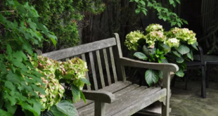 Cute Garden Benches