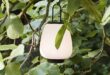 Elegant Outdoor Lamp