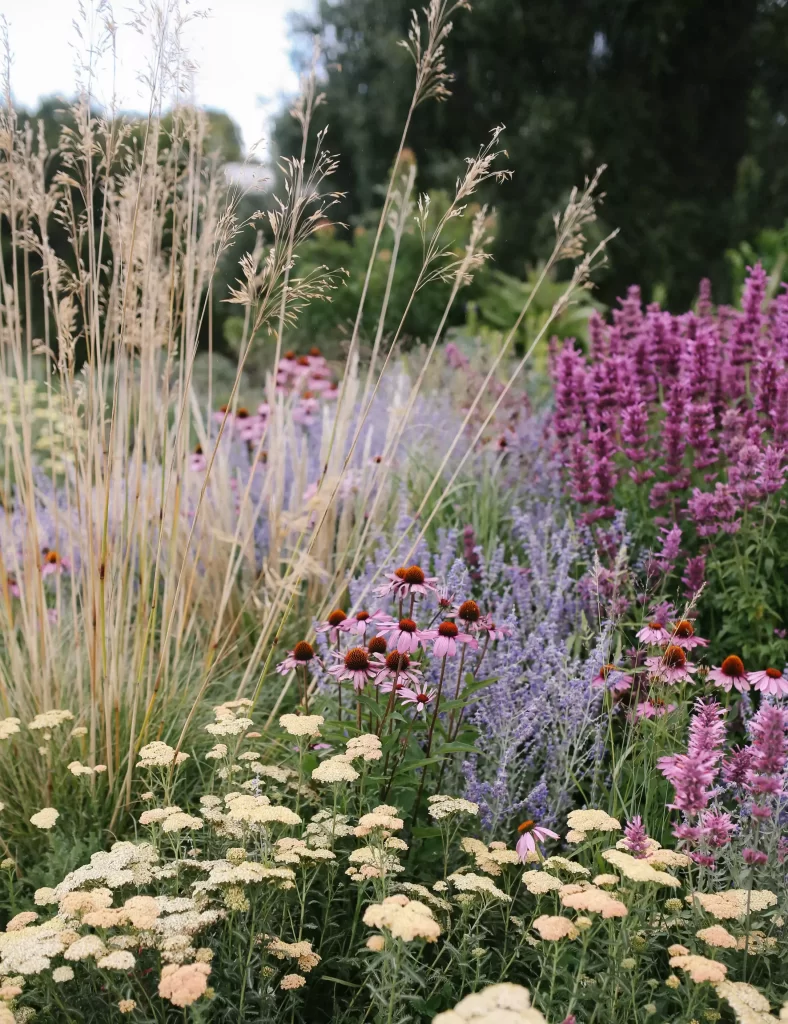 Flower Frontyard