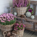 Front Door Flower Pots